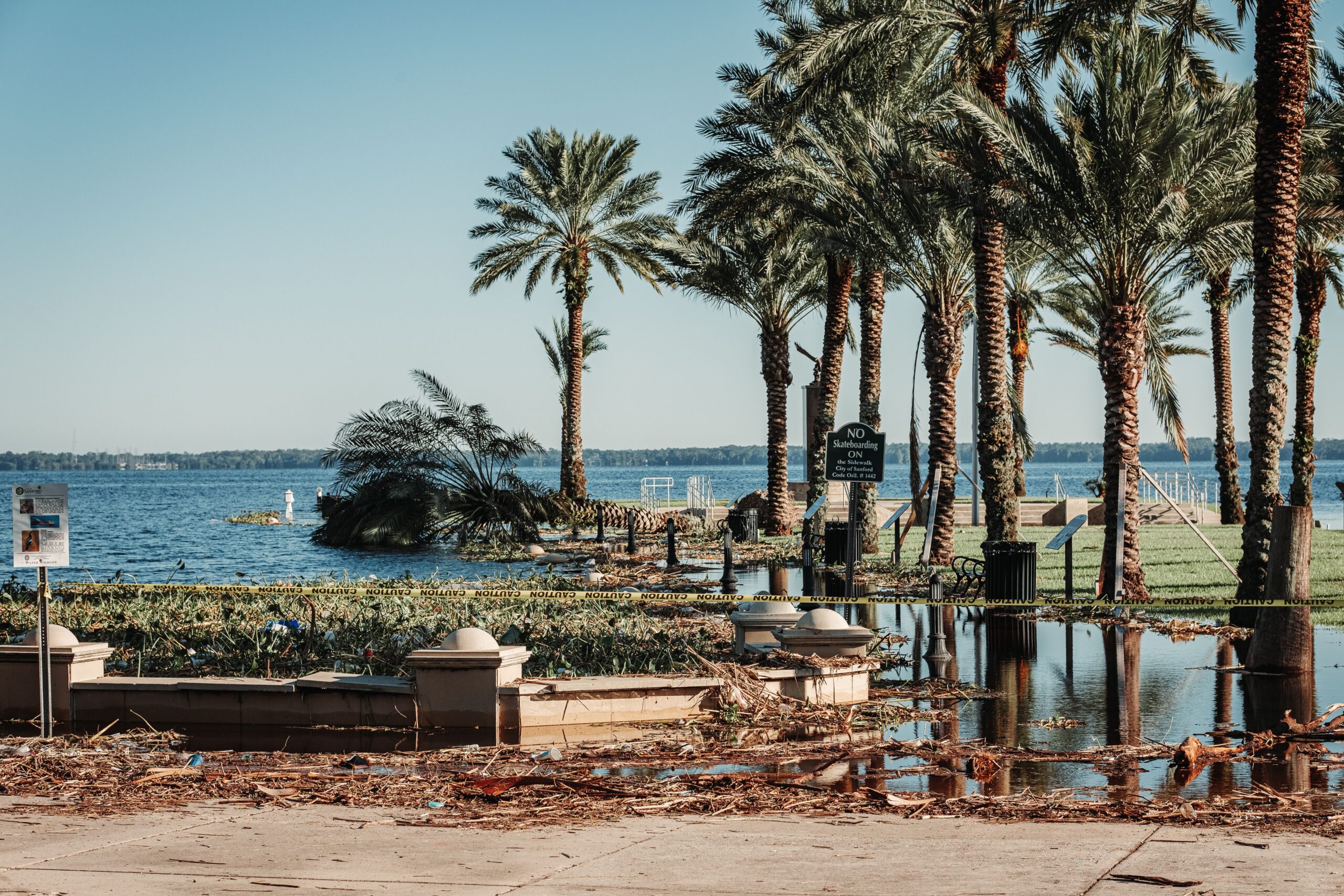Flooded coastal area with palm trees and an occluded path post-storm damage in Florida.