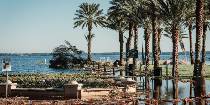 Flooded coastal area with palm trees and an occluded path post-storm damage in Florida.